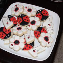 Brooklynn's 1st Birthday! Ladybug - Ladybugs