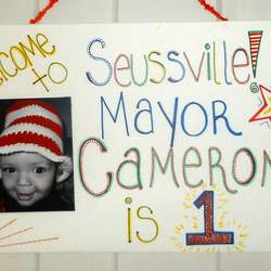 Oh What Fun... Cameron is 1! - Dr Seuss