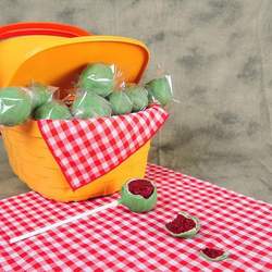 Grady's 2nd "Picnic" Birthday - Picnic