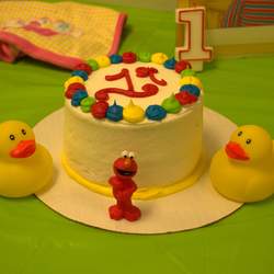 1st Birthday Party - Sesame Street