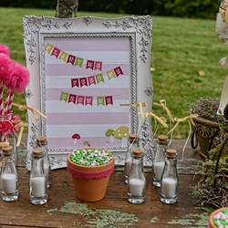 Emmery's birthday - Woodland Fairy birthday party