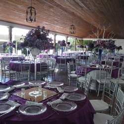 M+B get married - Purple & silver