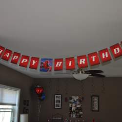 Hank & Jake's Spiderman Birthday Party - Spiderman