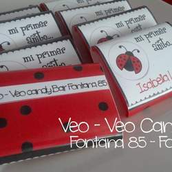 Vaquita de San Antonio  - Ladybugs