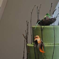 Rooted in Love Baptism - Woodland Forest, Birds, Green, Baptism, Environment
