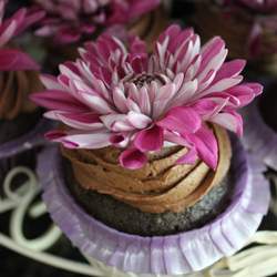 Chocolatier - Chocolate Party
