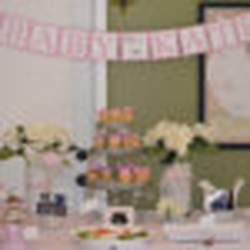 Cynthia's Party - Bird's Nest Baby Shower