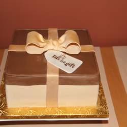 Life is a Gift! - Life is a Gift // Bows