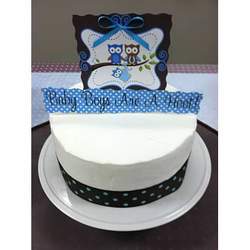 Baby Boy Shower - Owl Theme
