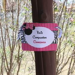 First Year Constanza - zebra minnie mouse