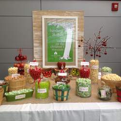 The Giving Tree Storybook Soire for the Children's Museum of Winston-Salem - The Giving Tree