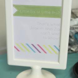 Sibling Gender Reveal Party - Little Sis or Little Bro?