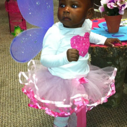 Sanai's Fairy Garden - Fairy Party