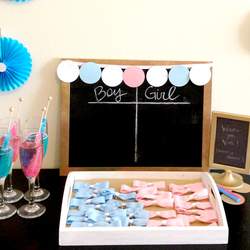 Gender Reveal Party / Gender Reveal “Pink or Blue Gender Reveal Party