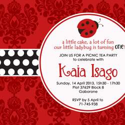 Kaia's First Birthday Ladybug Party! - Ladybug 1st birthday