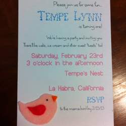 Tempe's 1st Birthday - Birdie Birthday Party with Sweet Tweets