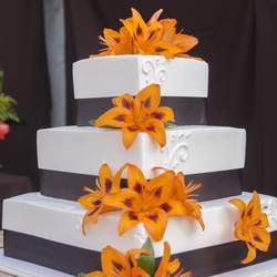 My Backyard Wedding - Brown and Orange Wedding 
