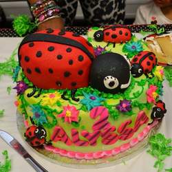 Alyssa's 2nd Ladybug Birthday - Ladybug