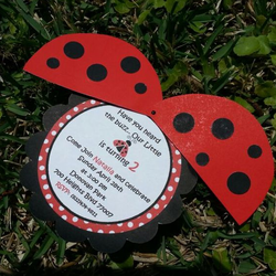 My Little Ladybug Turned 2 - Ladybugs