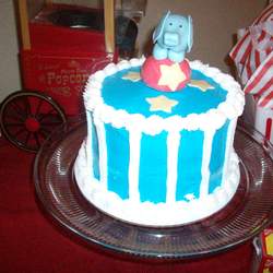 Eli's 1st Birthday Circus Extravaganza! - Circus