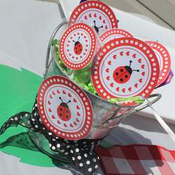 Ladybug Picnic - Ladybug