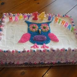 Alexsija's 14th Birthday - Owl Theme
