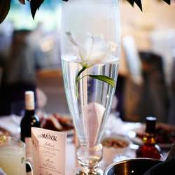Maria and Peter Wedding - Classic wedding