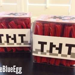 Minecraft PC Game party - Minecraft Birthday Party