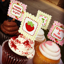 Gryffin's 3rd Sweet Strawberry Party - Picnic Strawberry & Sweets