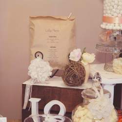 Vintage Apricot - None