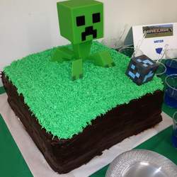 Matthew's 11th Birthday - MineCraft