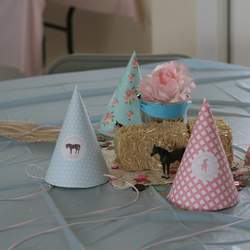 Pretty Pony Party - Ponies, Shabby Chic, Old Fashioned Fun!