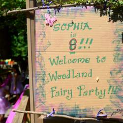 Last year in the Enchanted World  - Enchanted Forest/Woodland Fairy