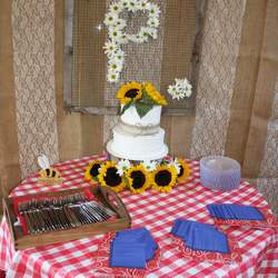 Patrice's 30th Surprise Birthday  - Country Bash cowgirl style 