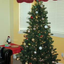 Christmas in July - Christmas in July