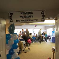 Cadu's 1st Birthday - Puppies, Dogs
