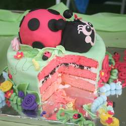 Our little LADY is 2! - Pink Ladybug