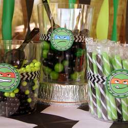 Go Ninja Go Ninja Go - A Joint Birthday Party - Teenage Mutant Ninja Turtles