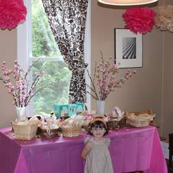 Frankie's 3rd Birthday  - WoodZeez / Calico Critters