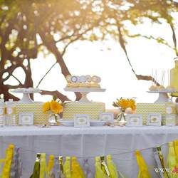 You Are My Sunshine Chevron Party - Sunshine Chevron