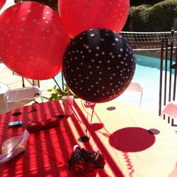 My little ladybug is turning one - Ladybugs