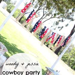 1st & 3rd Birthday Fun - Toy Story Cowboy & Cowgirl Party