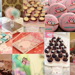 Owl Theme Christening - None