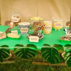 Safari 2nd Birthday Party - Safari / Jungle