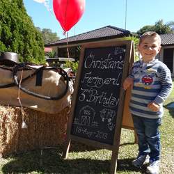 Christian's Farmyard Birthday Bash - Rustic Farmyard