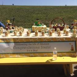 Icesis baby shower - King of the Jungle 