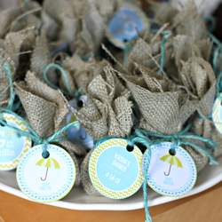 Shower Themed Baby Shower - Showers
