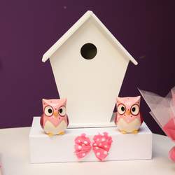 Owls  - Owls