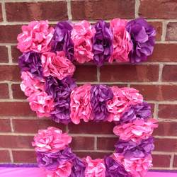 Madison's 5th Birthday Bash! - Doc McStuffins
