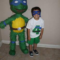 ninja turtles - None